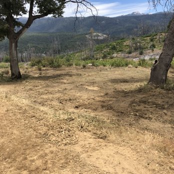 Black Bear Tree Service - Fuels management is not only what we do it is our passion. - Tree Services Near Me Black Bear Tree Service - Fuels management is not only what we do it is our passion. - Tree Services Near Me