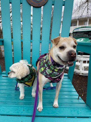 Canalside Inn by null