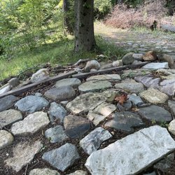 Arthur & Mildred Woollam Nature Preserve