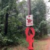 Turner Lobsters gift card