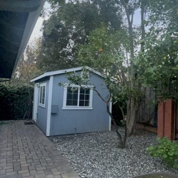 Preferred Expert Tree Service - The privet tree after being cut and shaped over the shed. - Tree Services Near Me