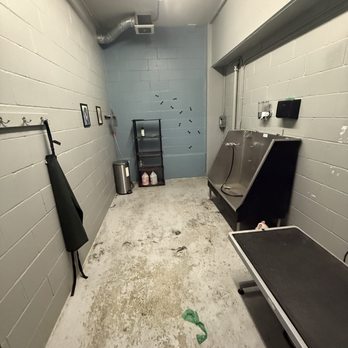 Eddyline at Bridgeport - Dog wash room - Apartments Near Me - Portland, Oregon