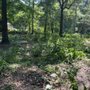 Photo of Stumpy’s Lawn Care