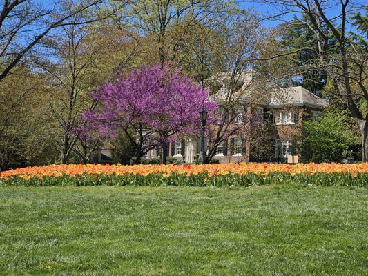 Sherwood Gardens by null