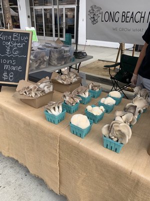 Downtown Long Beach Farmer's Market by null