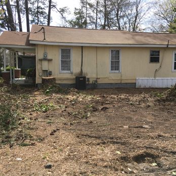 Screaming Monkey's Tree Service - Tree Services Near Me