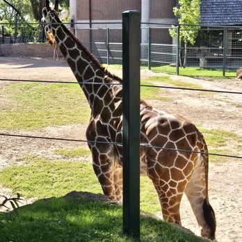 Reid Park Zoo - Zoos Near Me - Tucson, Arizona