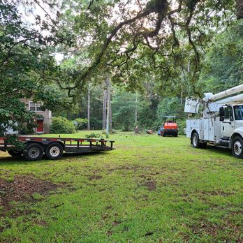 Gene Rivers Tree Service - Hard at work, a little rain didn't stop them - Tree Services Near Me - Whistler, Alabama