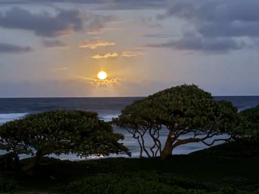 OUTRIGGER Kauai Beach Resort & Spa by null