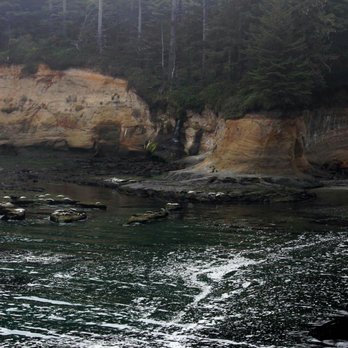 Whale Cove Inn - Hotels Near Me - Depoe Bay, Oregon Whale Cove Inn - Hotels Near Me - Depoe Bay, Oregon