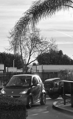 Starbucks Coffee Company by null