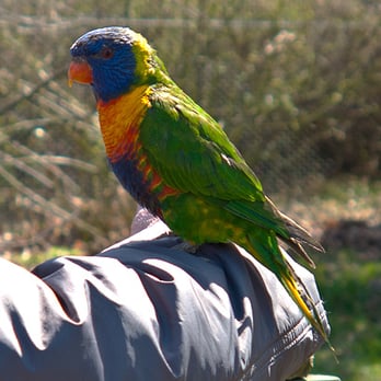 Vogelpark Marlow - Parks Near Me - Marlow, MV