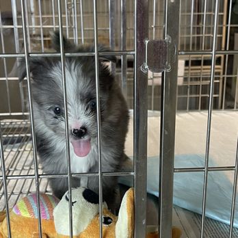 Kalihi Pet Center - Pet Stores Near Me - Honolulu, Hawaii Kalihi Pet Center - Pet Stores Near Me - Honolulu, Hawaii