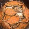 Crabs Plus gift card