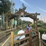 Photo of Emerald Forest Mini Golf