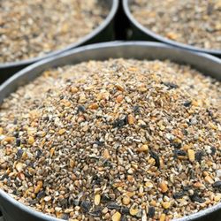 Ritter Farm - Homestead Harvest Whole Grain Layer Blend