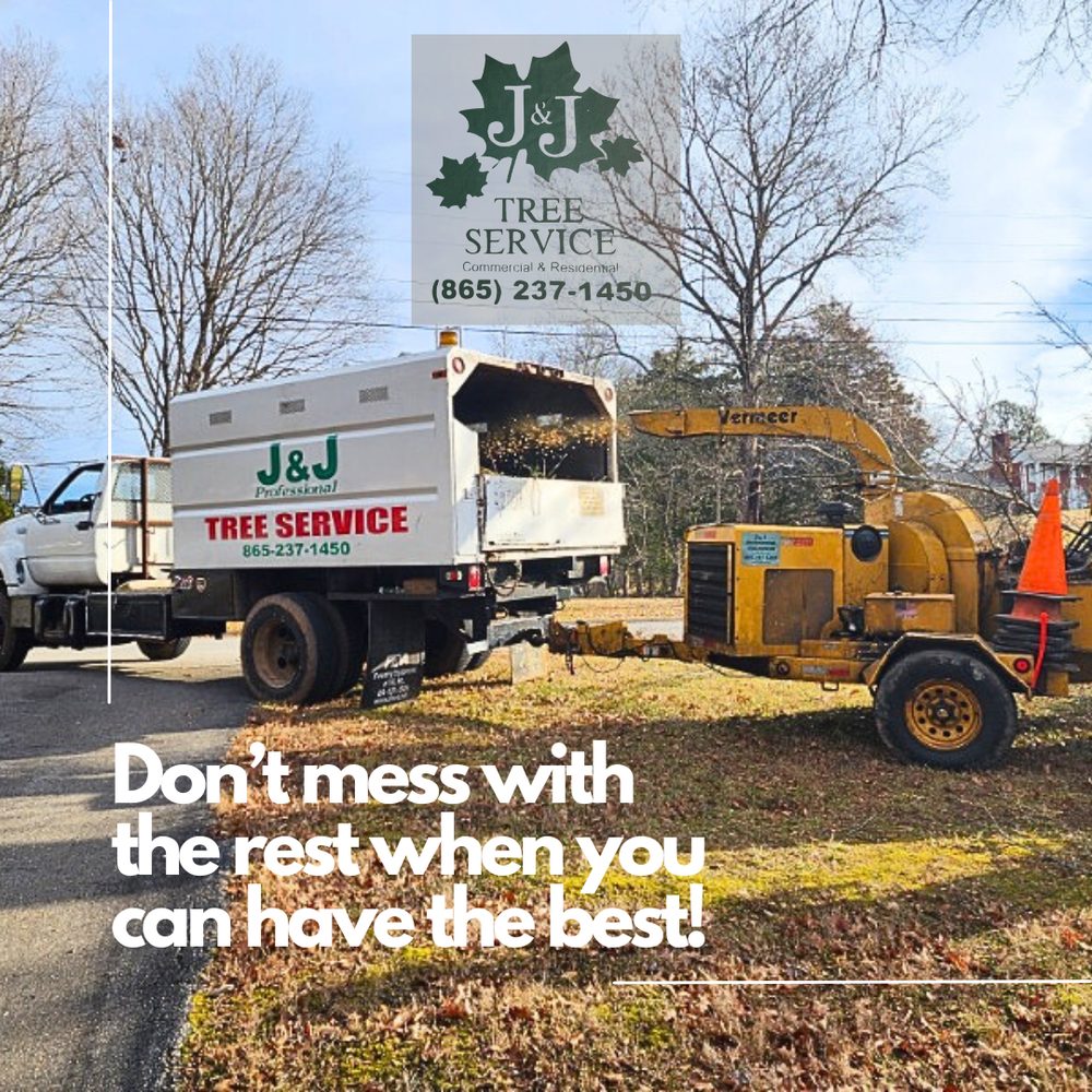 J & J PROFESSIONAL TREE SERVICE Updated August 2024 25 Photos