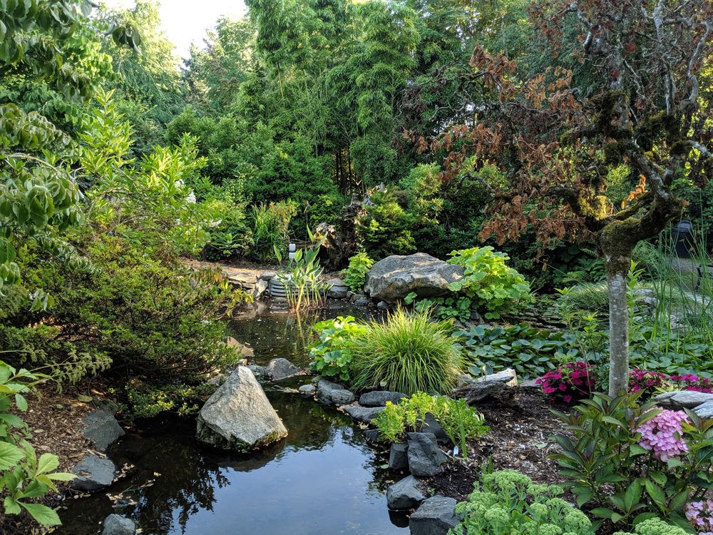 Highline SeaTac Botanical Garden 95 Photos & 16 Reviews Botanical