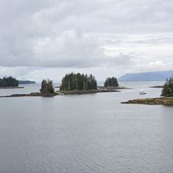 The Mill At Ward Cove - Scenery along the Refuge Cove State Recreation Area as the ship is backing out of Ward Cove