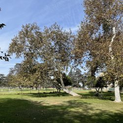 Larry L Maxam Memorial Park