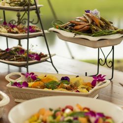 Mangia and Enjoy! - We love catering your event! Mangia and Enjoy, All!