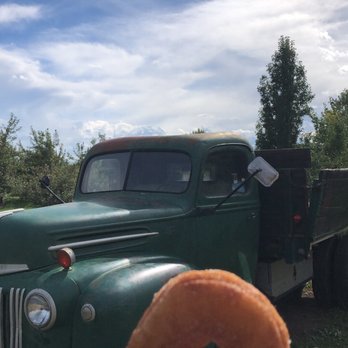 Ya Ya Farm and Orchard - Yummy cider donuts and cute donkeys - Farmers Market Near Me - Longmont, Colorado Ya Ya Farm and Orchard - Yummy cider donuts and cute donkeys - Farmers Market Near Me - Longmont, Colorado