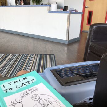 District Veterinary Hospital Brookland - Lobby area/ front desk - Veterinarians Near Me - Washington, DC, District of Columbia