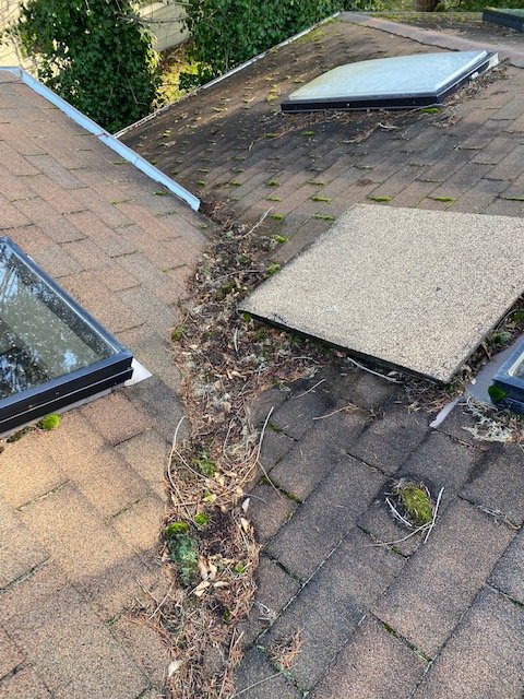 Slide of Corradini LLC Roof Restoration & Exteriors