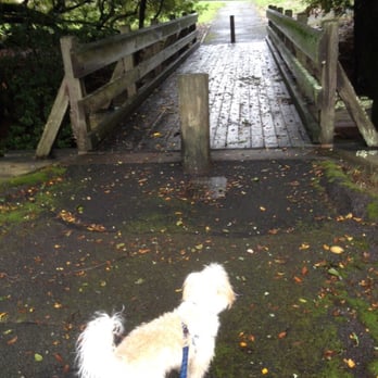 Dog Walker One - A new journey every day! - Dog Walkers Near Me Dog Walker One - A new journey every day! - Dog Walkers Near Me
