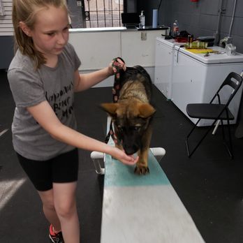 PacwestK9 - Learning to walk on the teeter tater - Pet Training Near Me - Tacoma, Washington