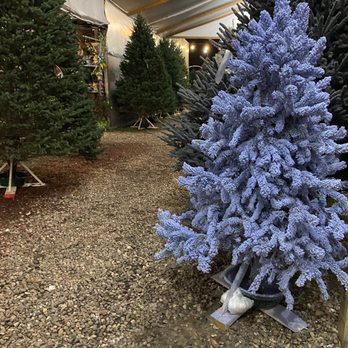 Natius Nursery - Christmas trees - Home & Garden Near Me - Kingwood, Texas Natius Nursery - Christmas trees - Home & Garden Near Me - Kingwood, Texas