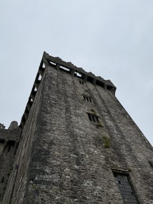 Blarney Castle & Gardens by null