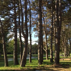 Wolverine Campground