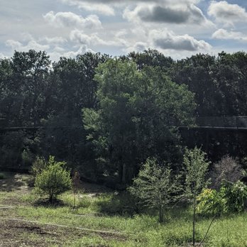 Phil Hardberger Park Conservancy - Can you see the Sky Walk? - Parks Near Me - San Antonio, Texas Phil Hardberger Park Conservancy - Can you see the Sky Walk? - Parks Near Me - San Antonio, Texas