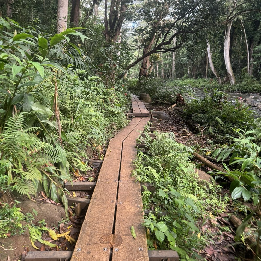 Wailua Kayak Adventures - Plank trail in the rain forest - Rafting/Kayaking Near Me - Kapaa, Hawaii Wailua Kayak Adventures - Plank trail in the rain forest - Rafting/Kayaking Near Me - Kapaa, Hawaii