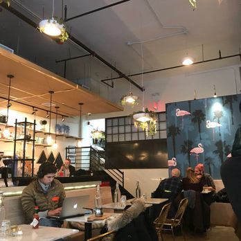 Bluestone Lane DUMBO Café - Love the flaming wall-paper and the hanging lights/plants. - Coffee & Tea Near Me - Brooklyn, New York