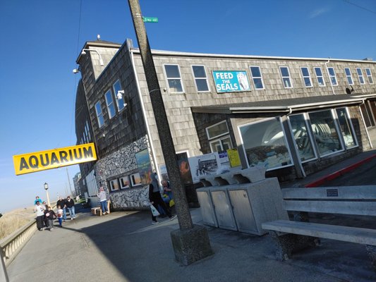 Seaside Aquarium by null