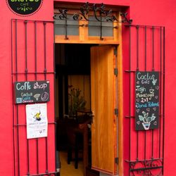 Cactus Café - Cactus café