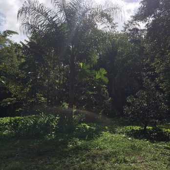 Hike Maui - The area has many beautiful shaded spots but you get hot during the hike, so wear a swimsuit - Tours Near Me - Kahului, Hawaii