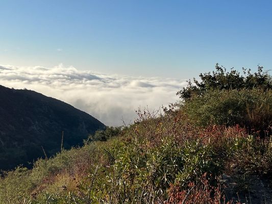 North Etiwanda Preserve by null