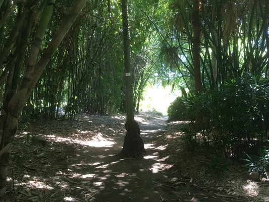 City Botanic Gardens by null