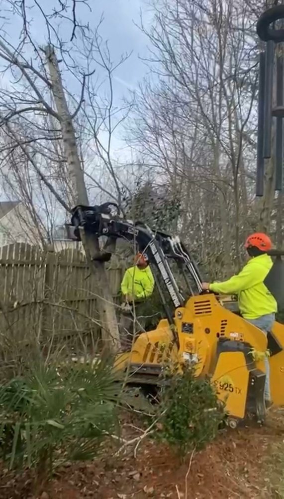 Angel's Tree Services - tree service in Hamilton Township, NJ