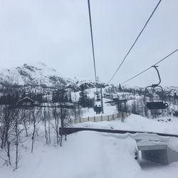 Skarsnuten