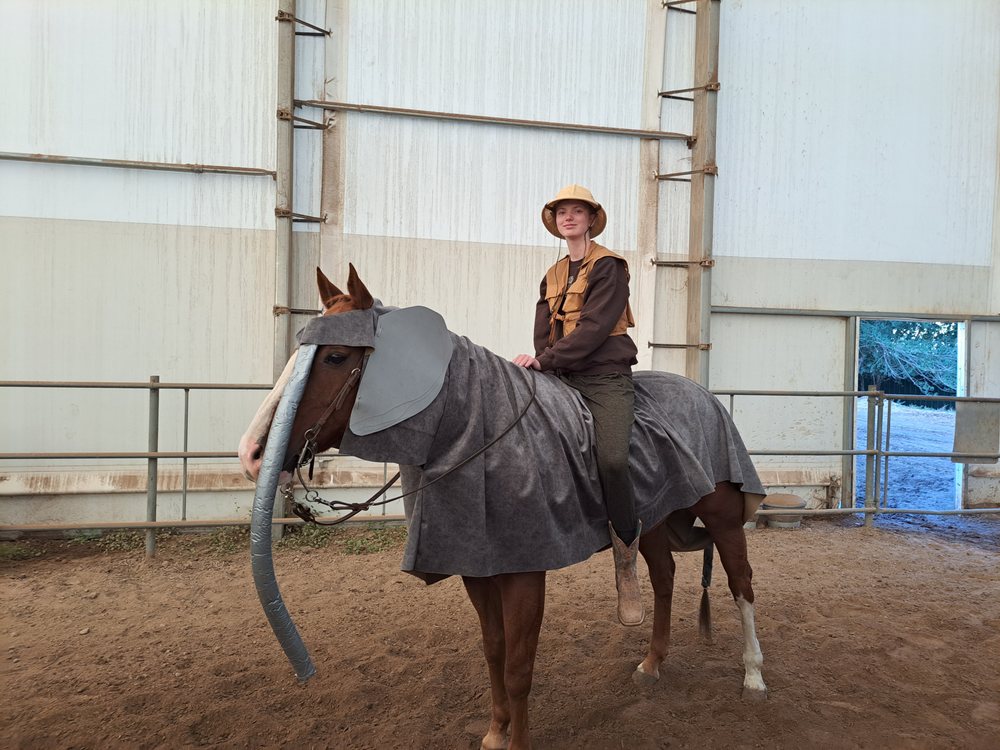 My Equine Connection - equestrian in Bountiful, UT