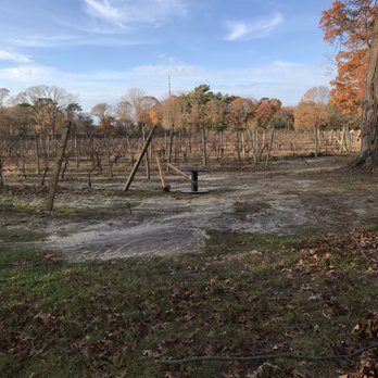 Loughlin Vineyard - Beautiful vineyard in Sayville! - Wineries Near Me - Sayville, New York Loughlin Vineyard - Beautiful vineyard in Sayville! - Wineries Near Me - Sayville, New York