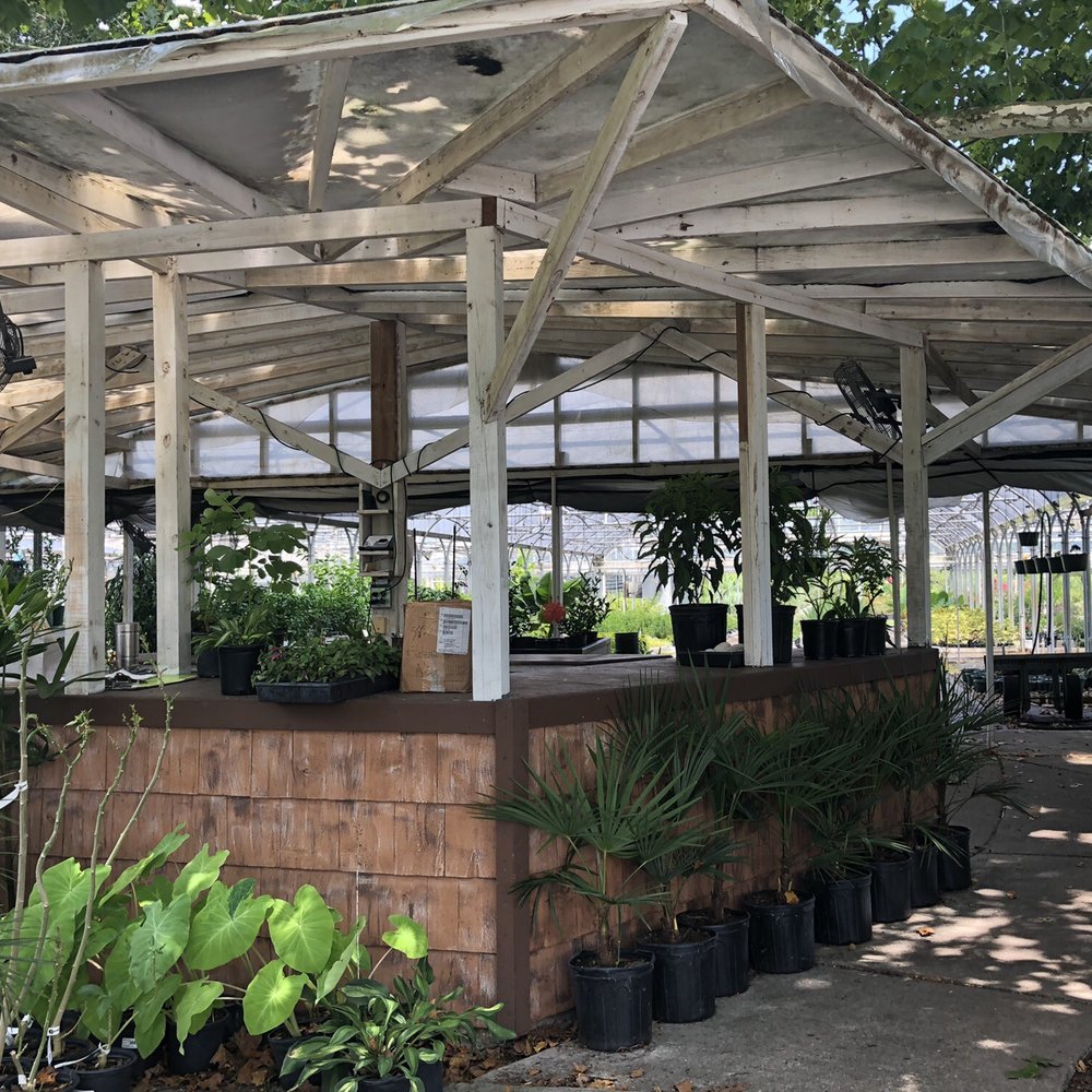 Blue Star Nursery - Entrance to greenhouses - Nurseries & Gardening Near Me - Hawthorne, Florida