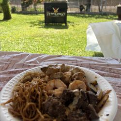 Teppanyaki Catering Grills - Chicken, shrimp, steak, noodles, fried rice and veggies.