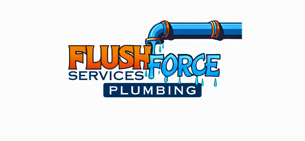 Slide of Flush Force Services
