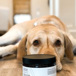 Joy Organics- Wichita - Tucker, our shop dog, loves to meet customers and their furry family members. Our store is pet friendly and has a variety of pet products.