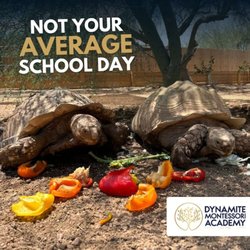 Dynamite Montessori Academy